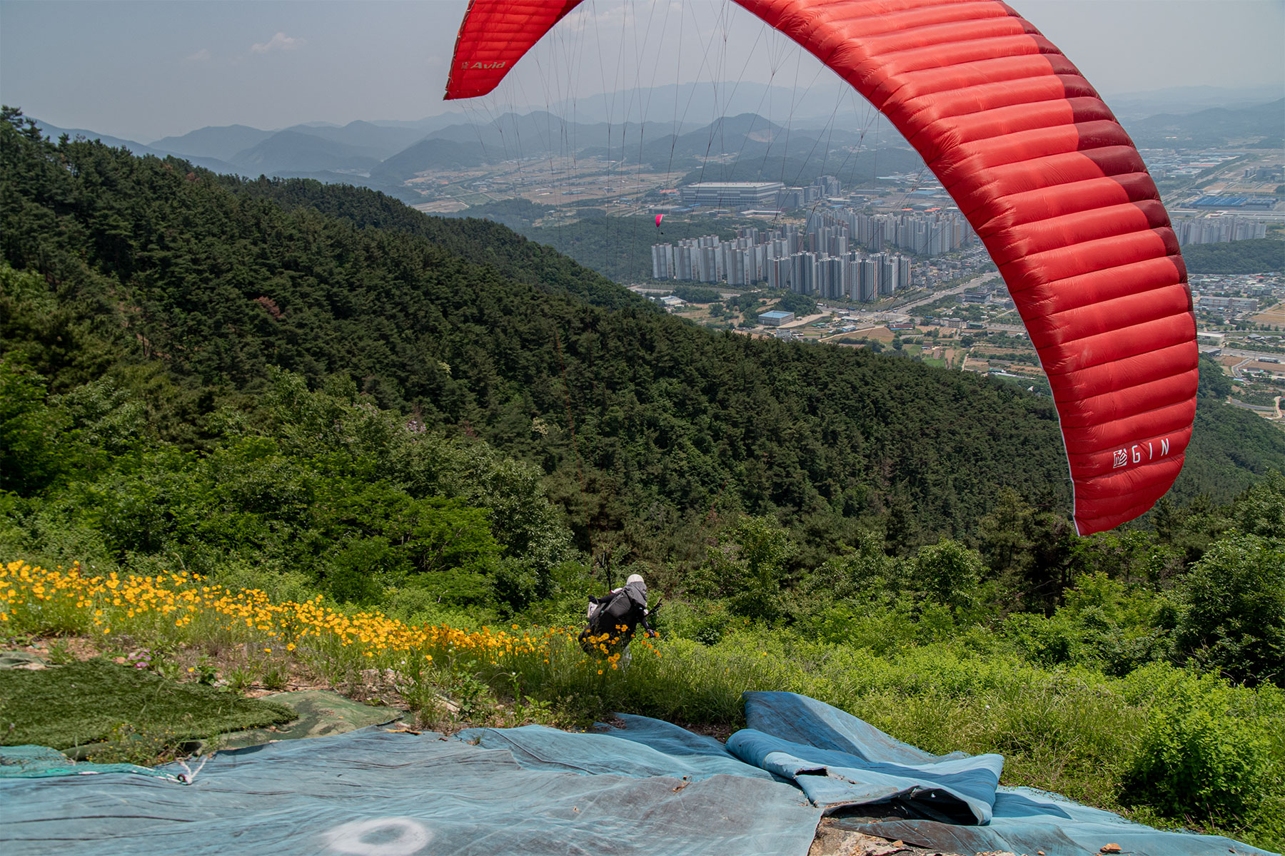 DSC_4505-1.jpg