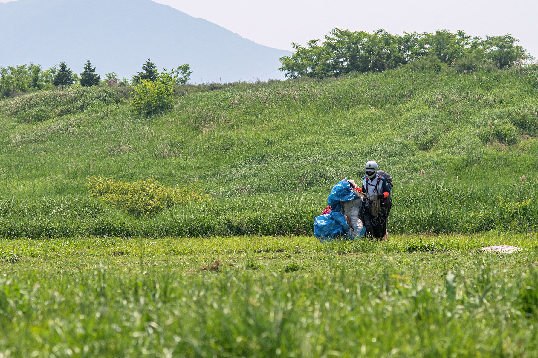 DSC_4445-1.jpg