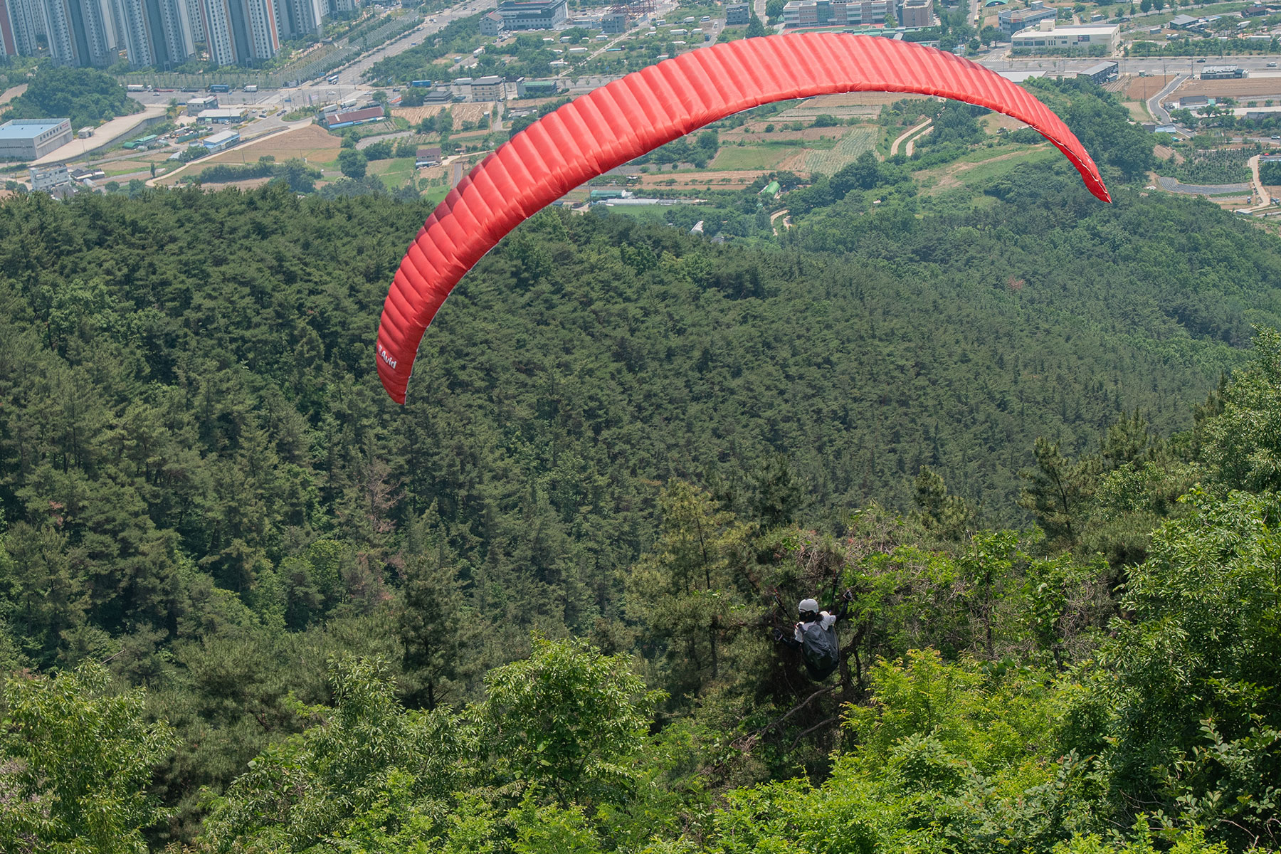 DSC_4510-1.jpg