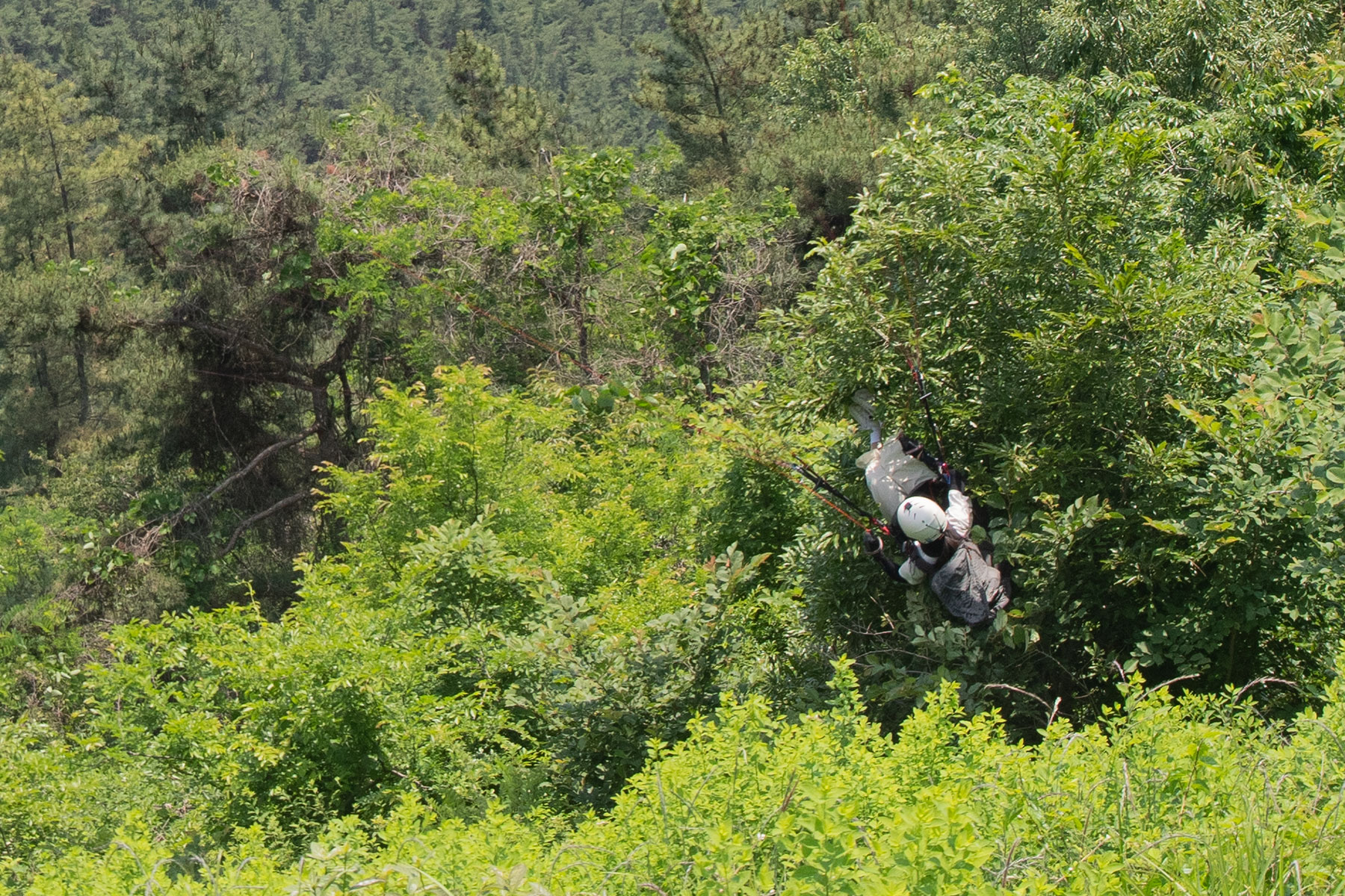 DSC_4509-1.jpg