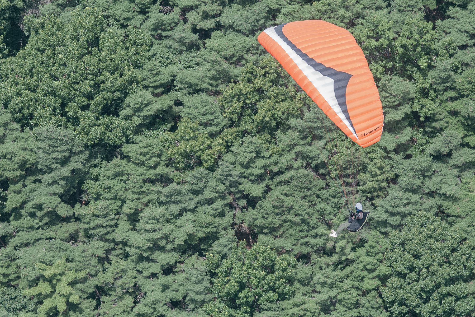D17_5126-1.jpg