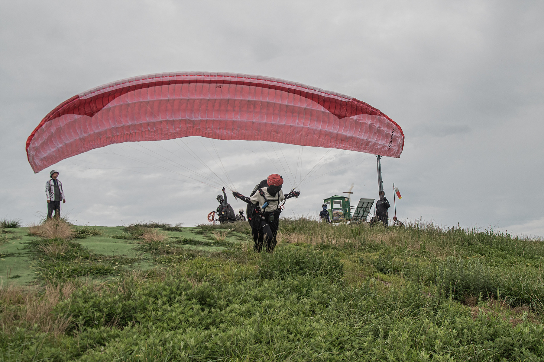 DSC_5650-1.jpg