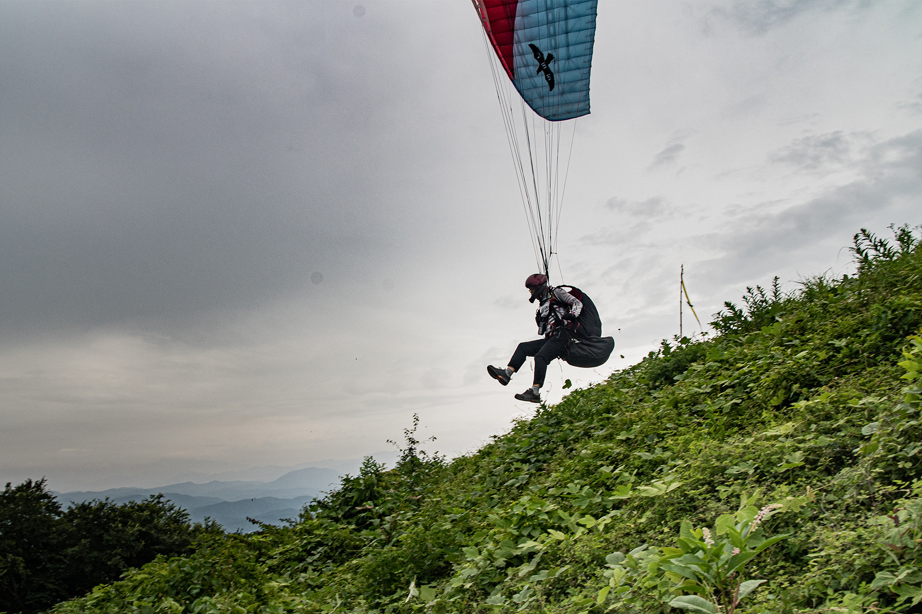 DSC_5917-1.jpg