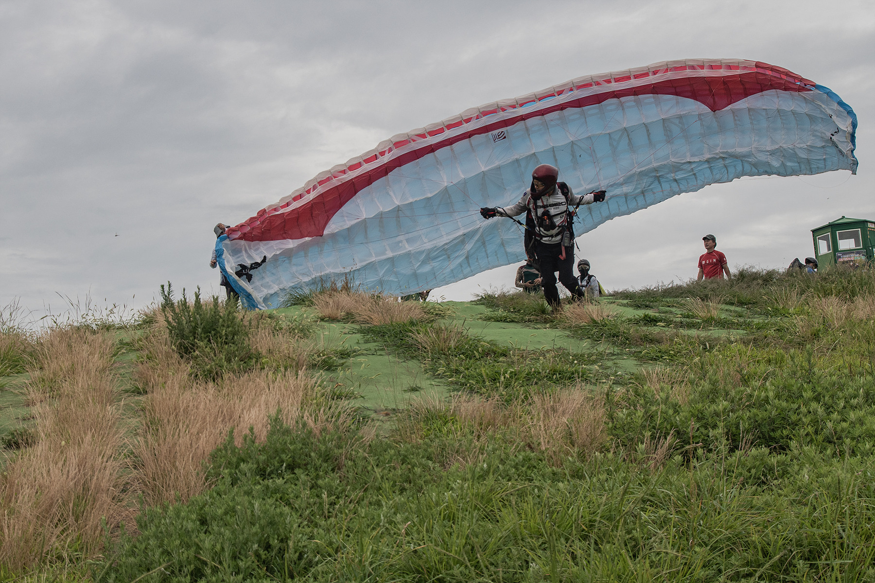 DSC_5702-1.jpg