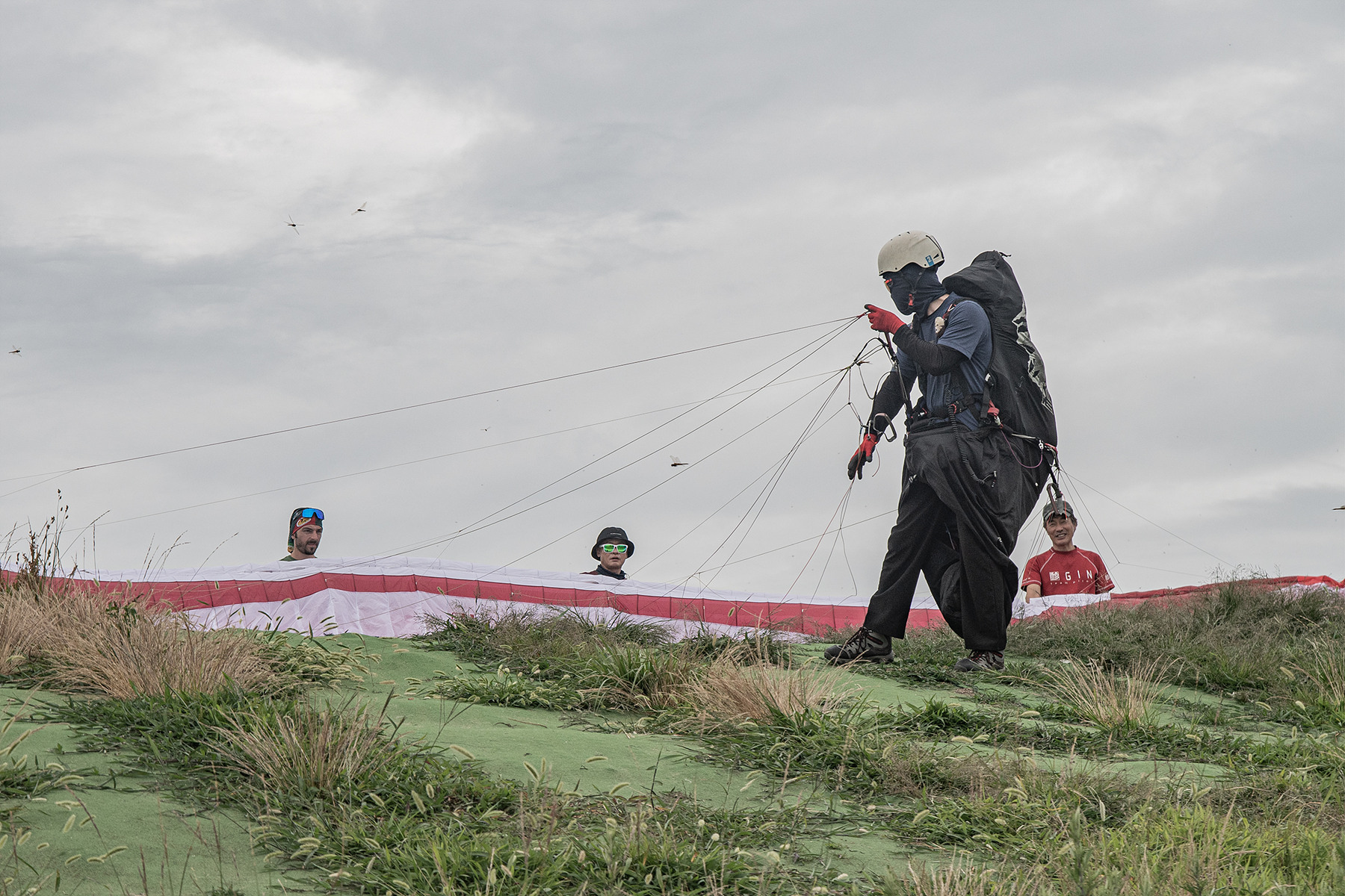 DSC_5740-1.jpg