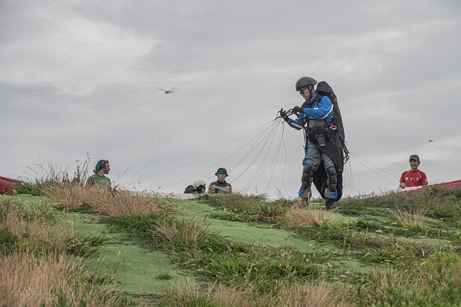 DSC_5725-1.jpg