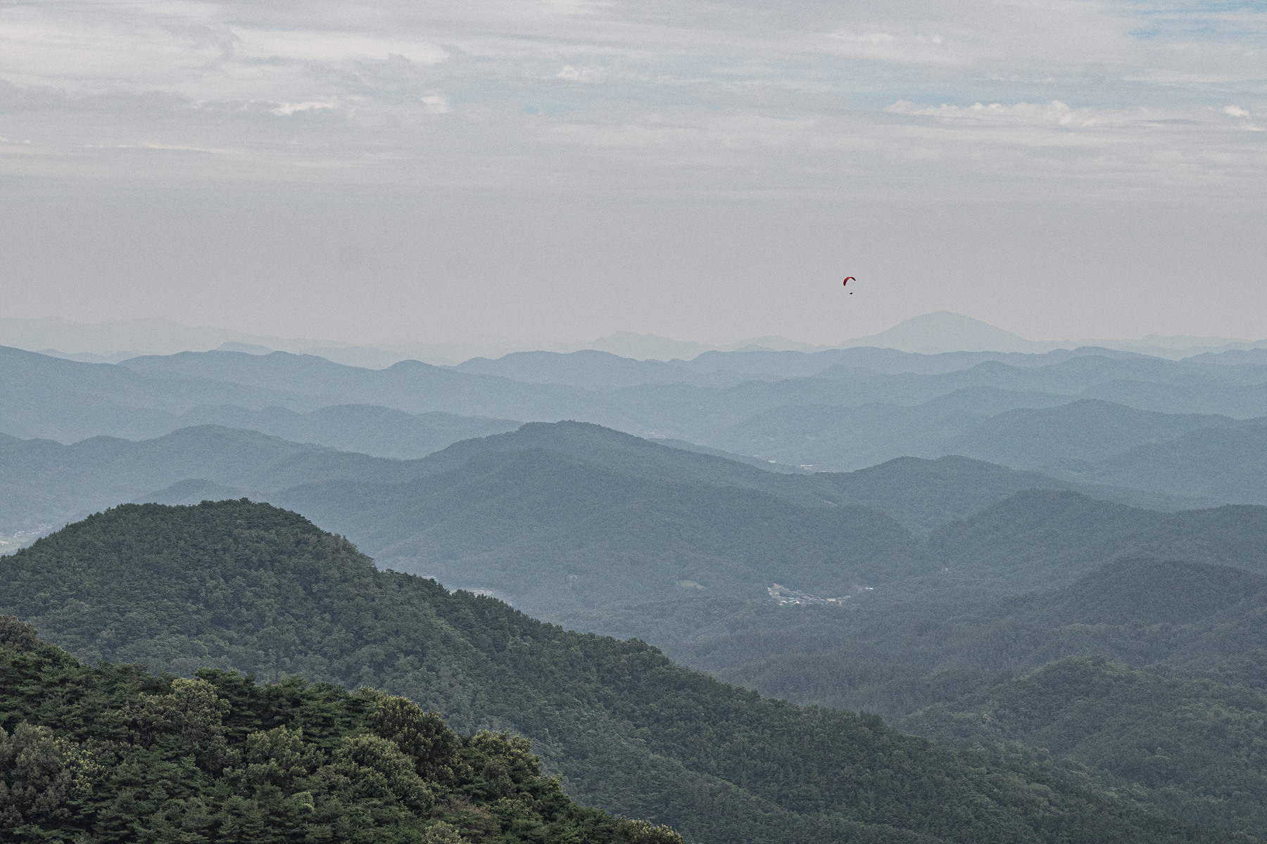 DSC_5760-1.jpg