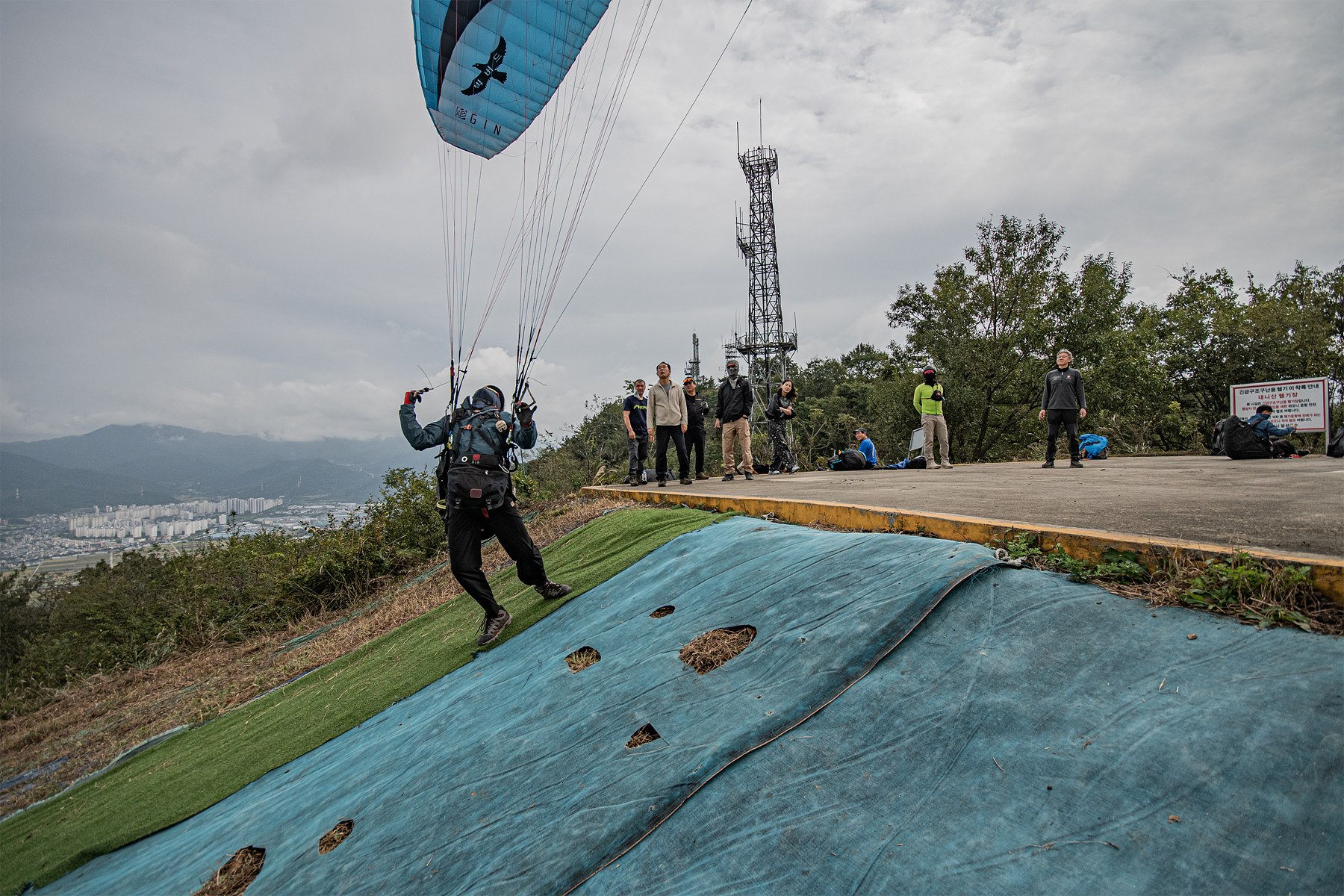 DSC_8247-1.jpg