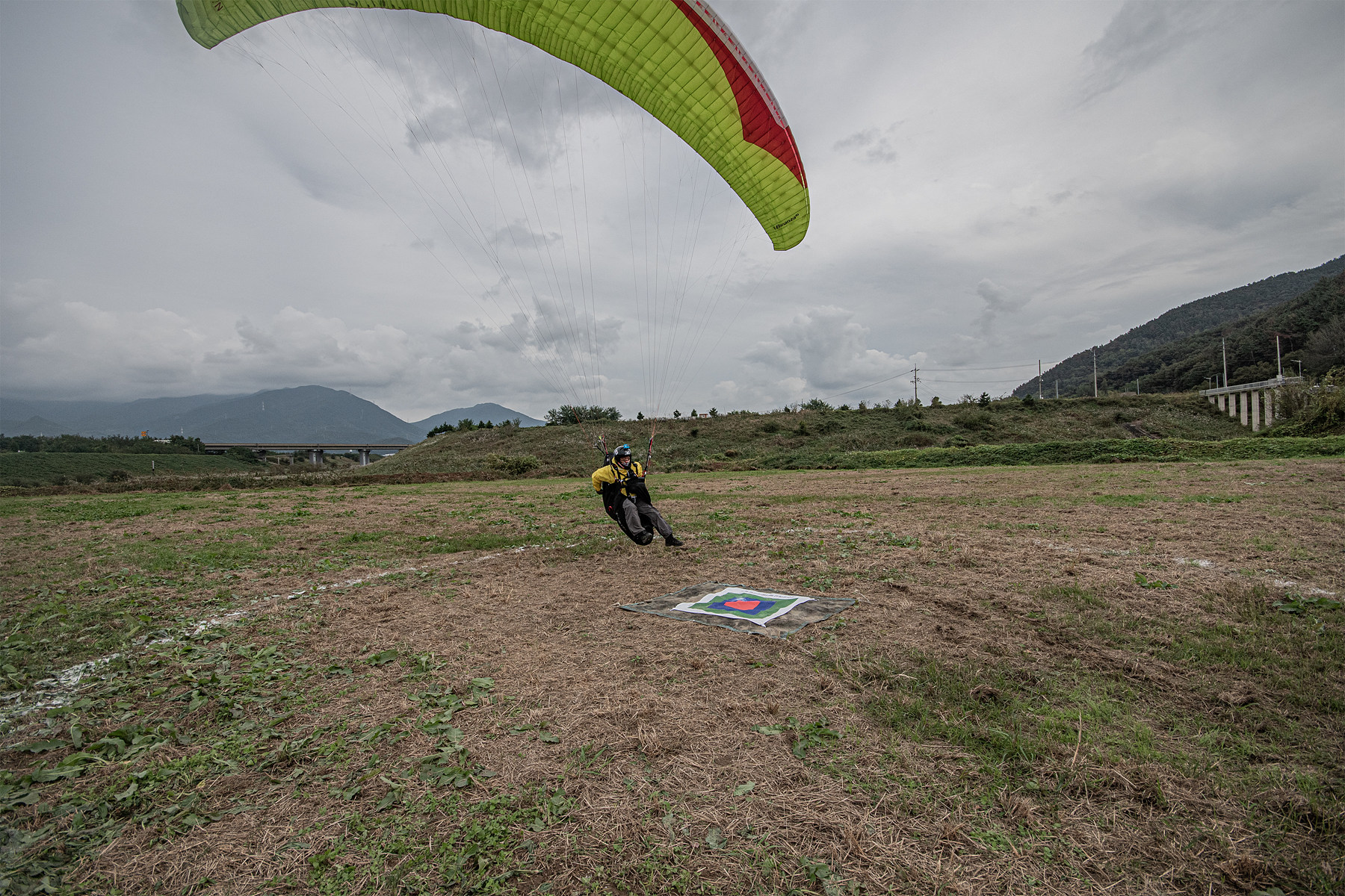 DSC_8491-1.jpg