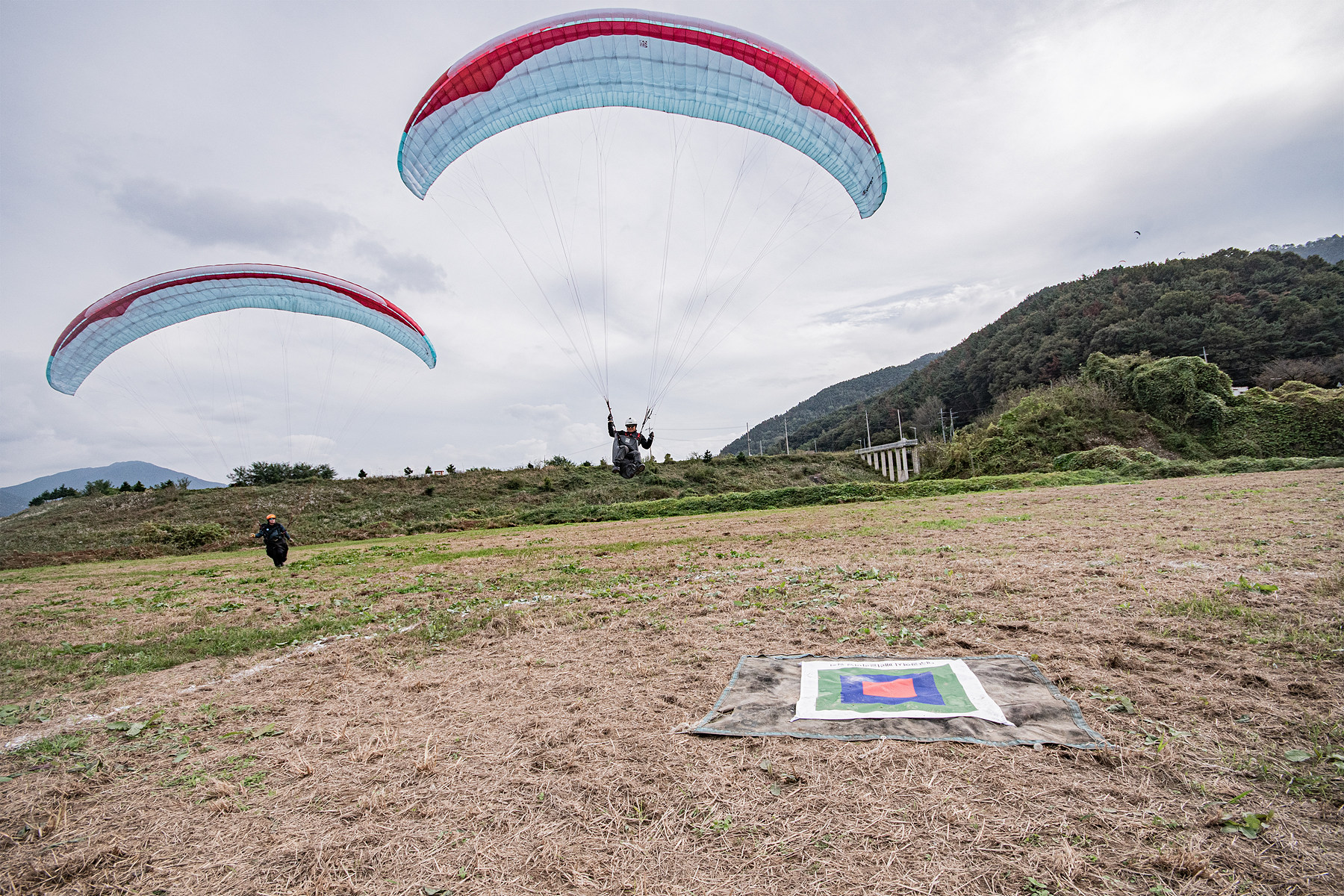 DSC_8547-1.jpg