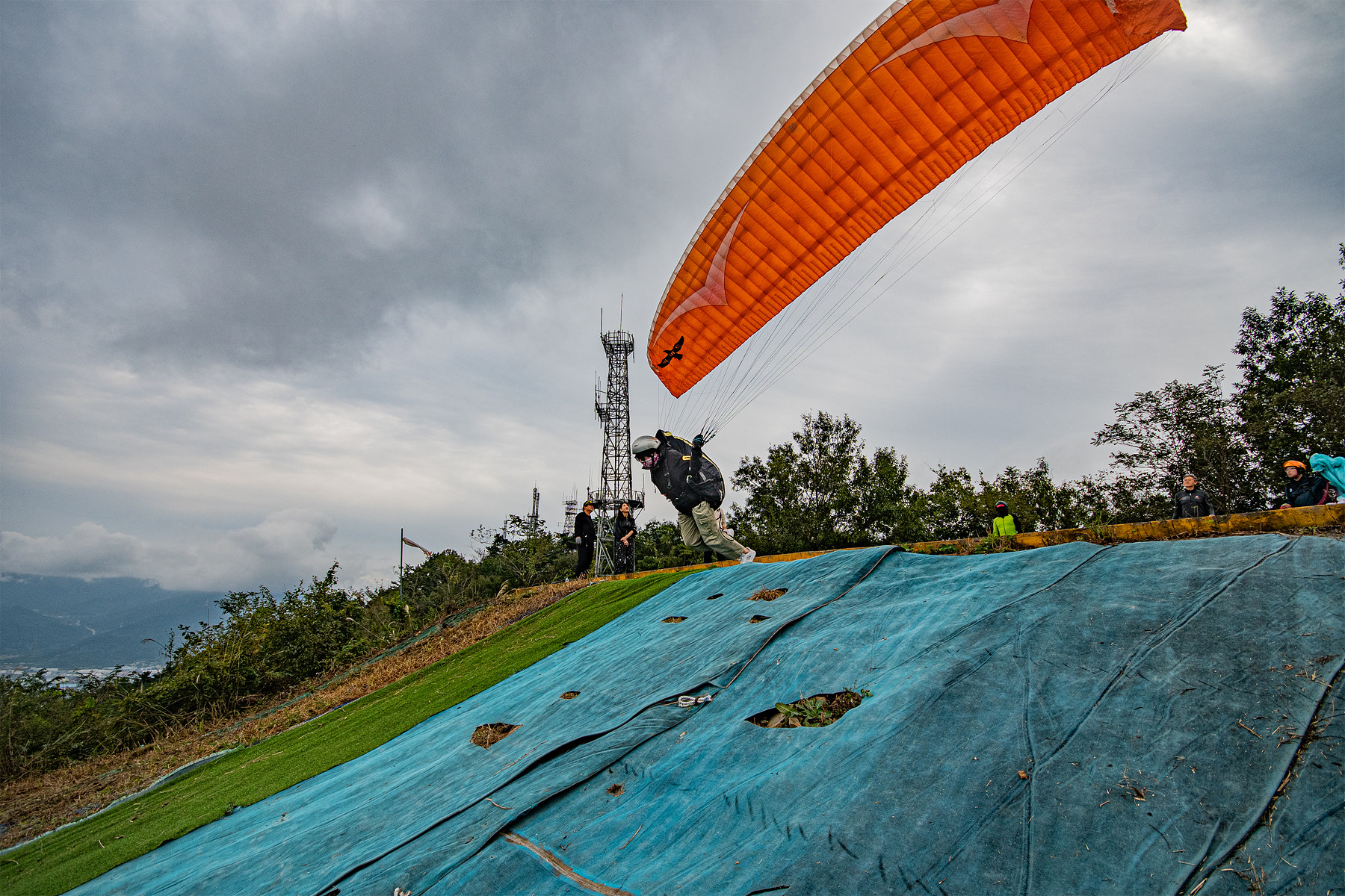 DSC_8106-1.jpg
