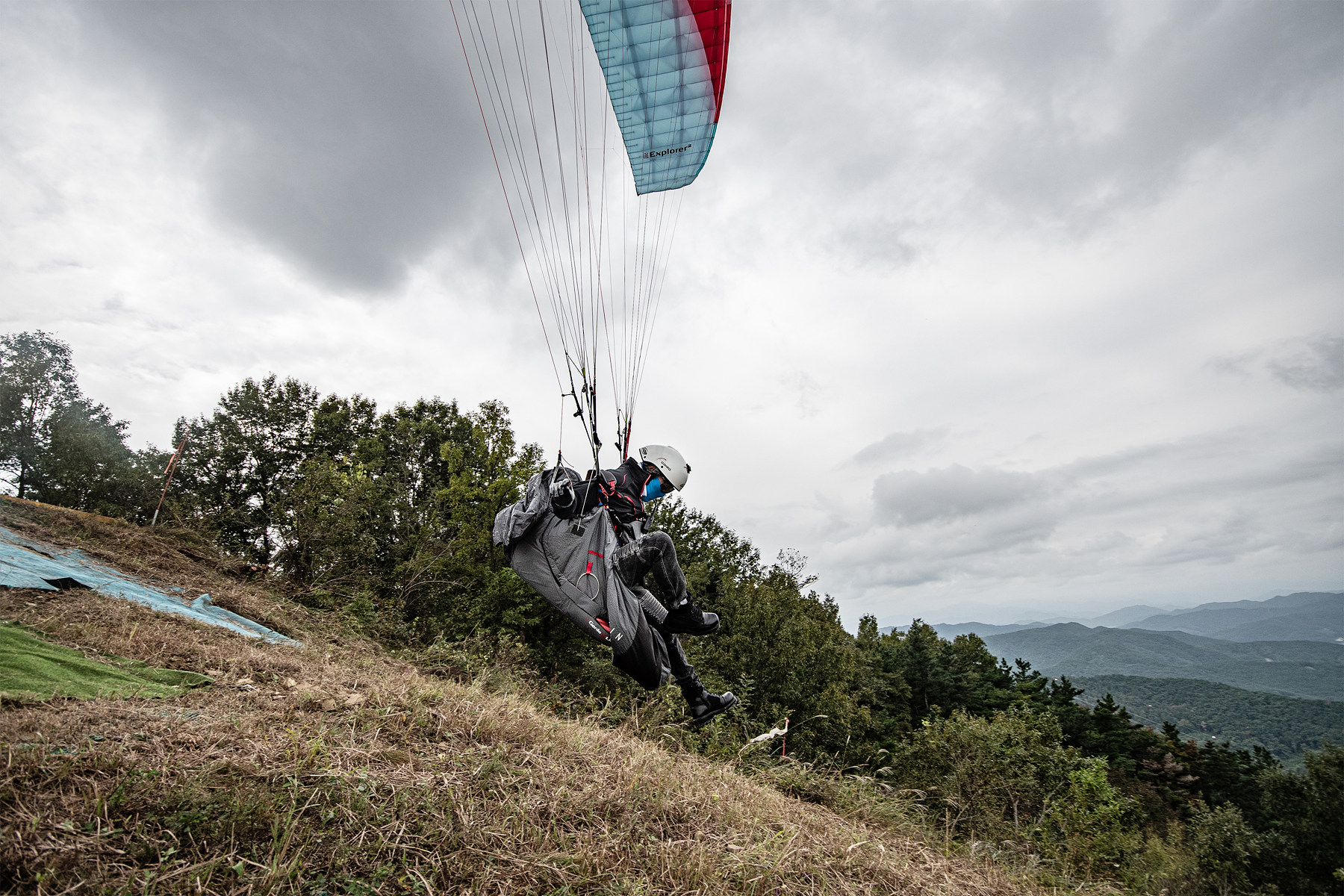 DSC_8138-1.jpg