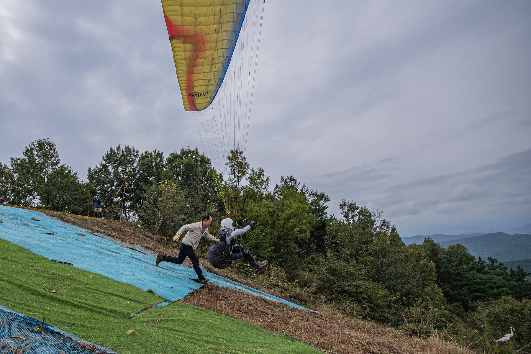 DSC_8023-1.jpg