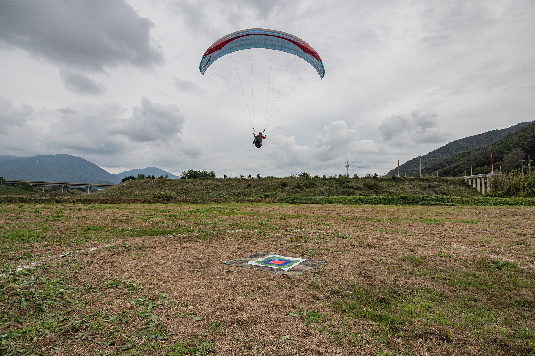 DSC_8447-1.jpg