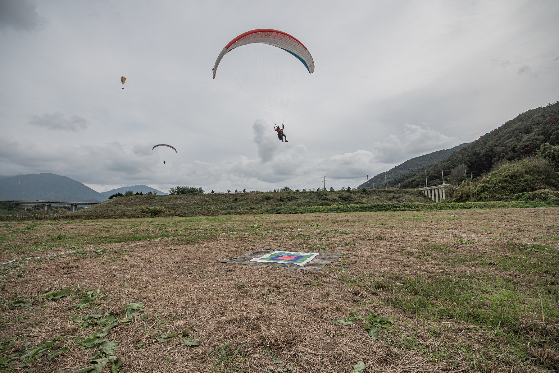 DSC_8410-1.jpg