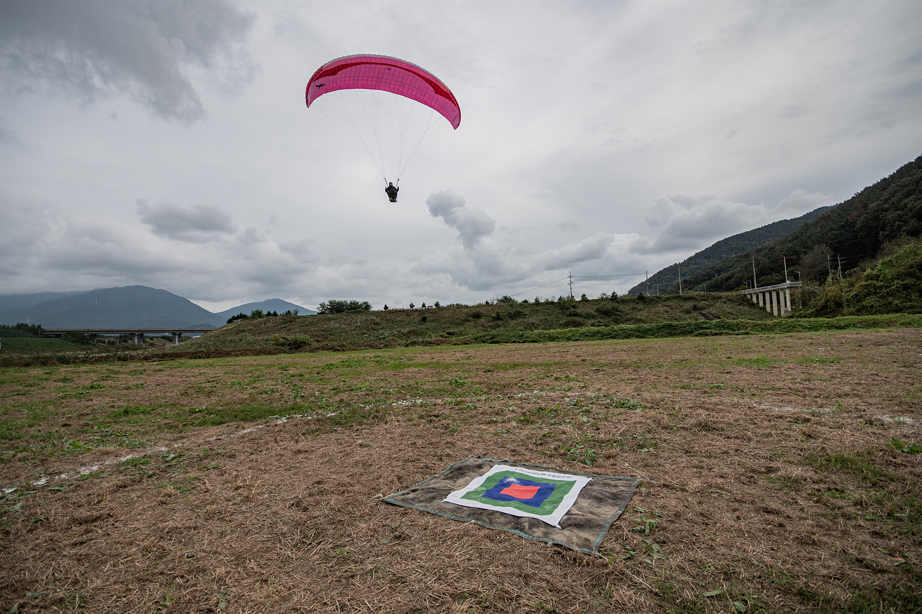 DSC_8423-1.jpg