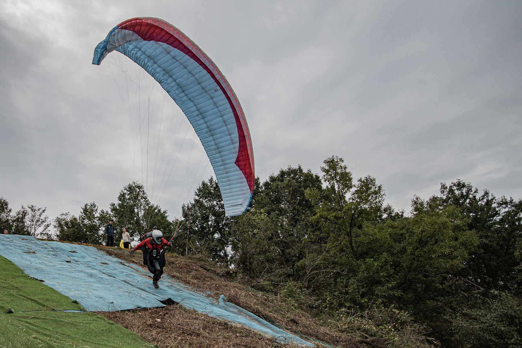 DSC_7902-1.jpg