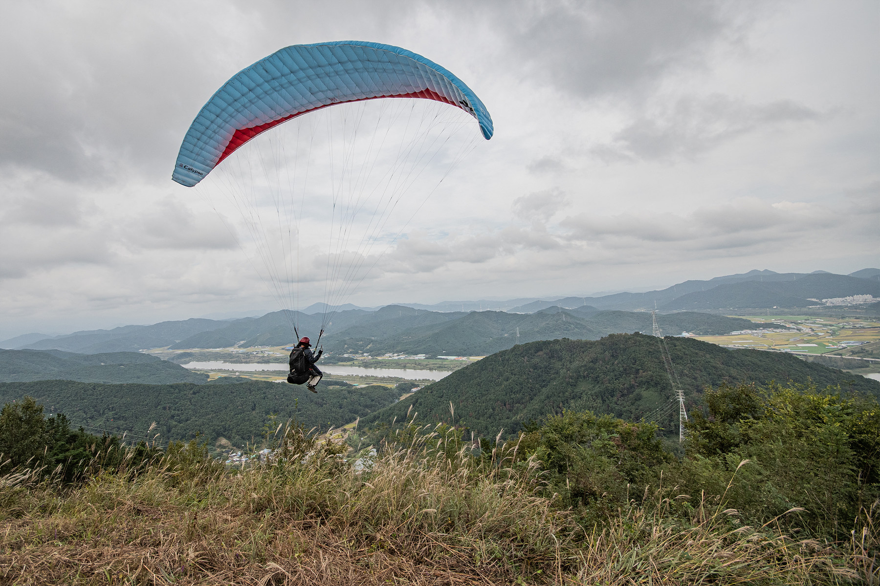 DSC_8384-1.jpg