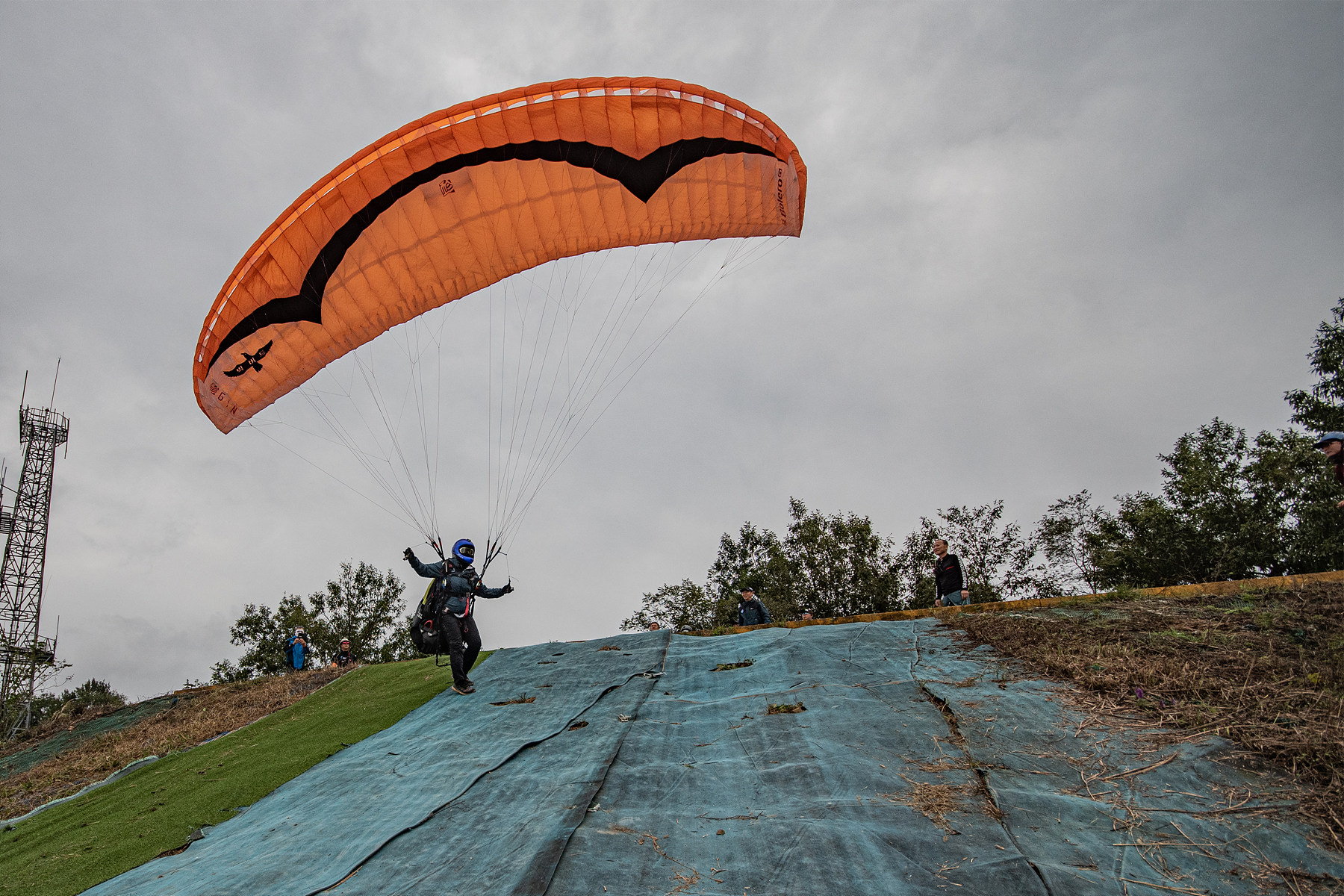 DSC_7827-1.jpg