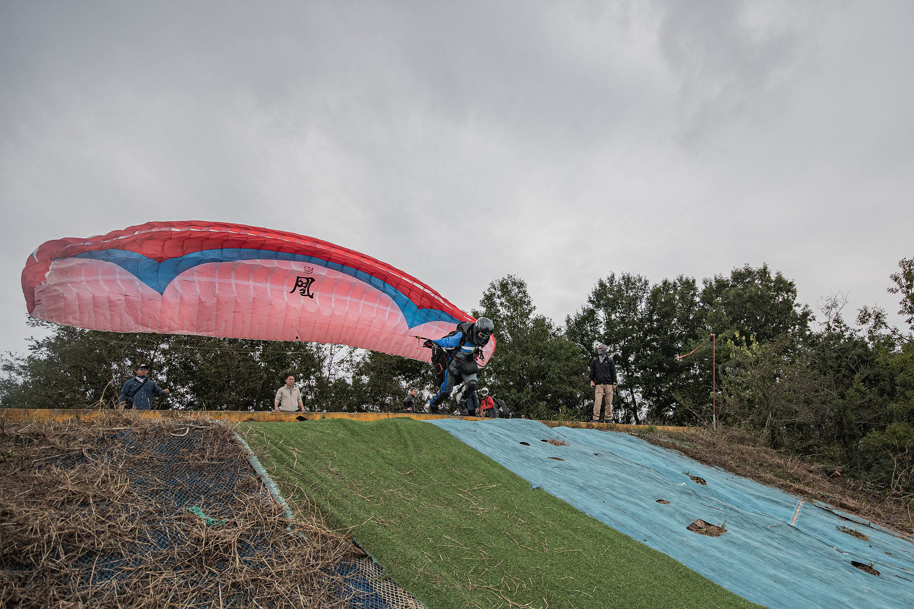 DSC_8068-1.jpg