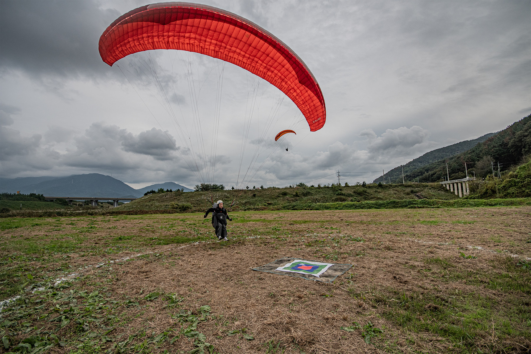 DSC_8433-1.jpg