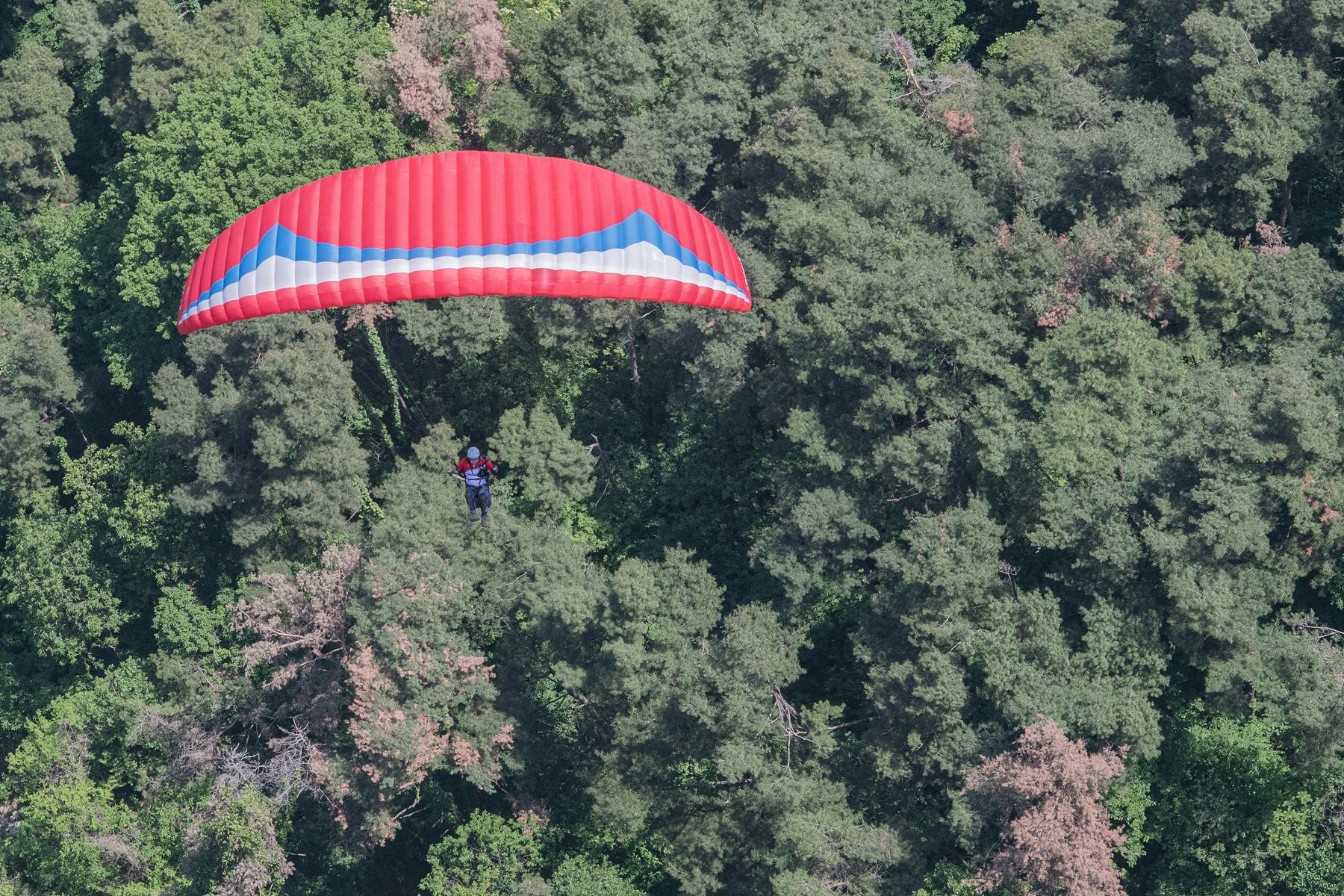 DSC_5470-1.jpg