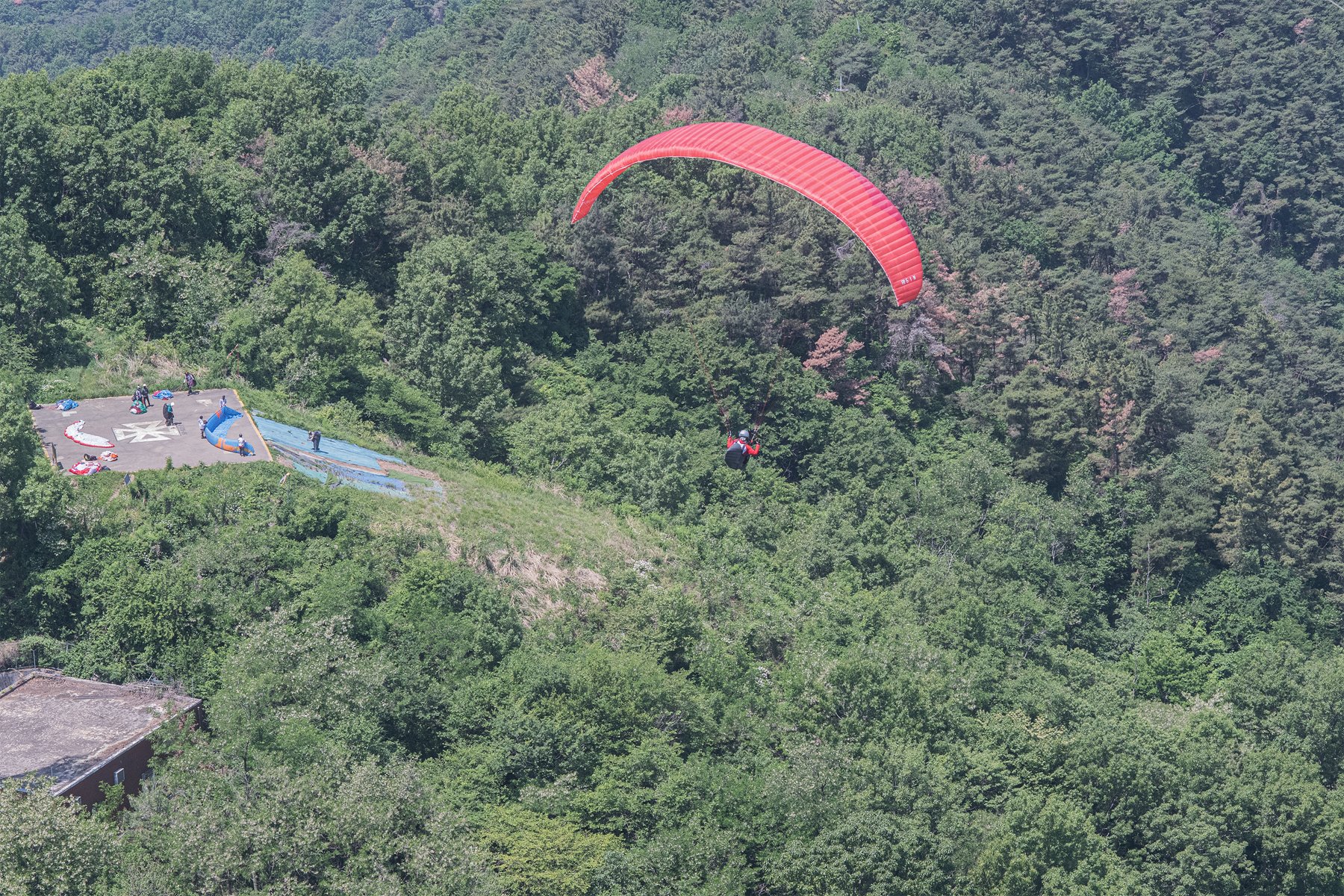 DSC_5458-1.jpg