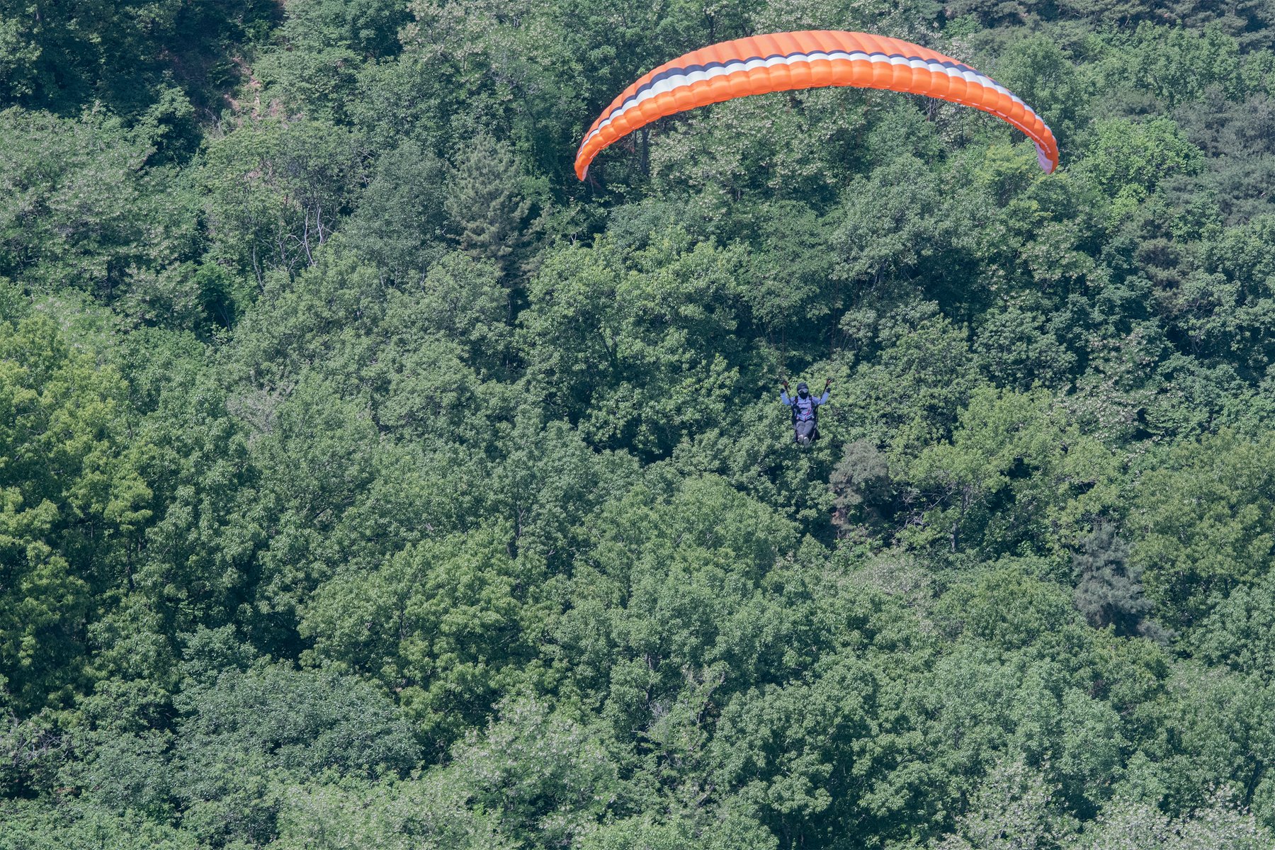 DSC_5665-1.jpg