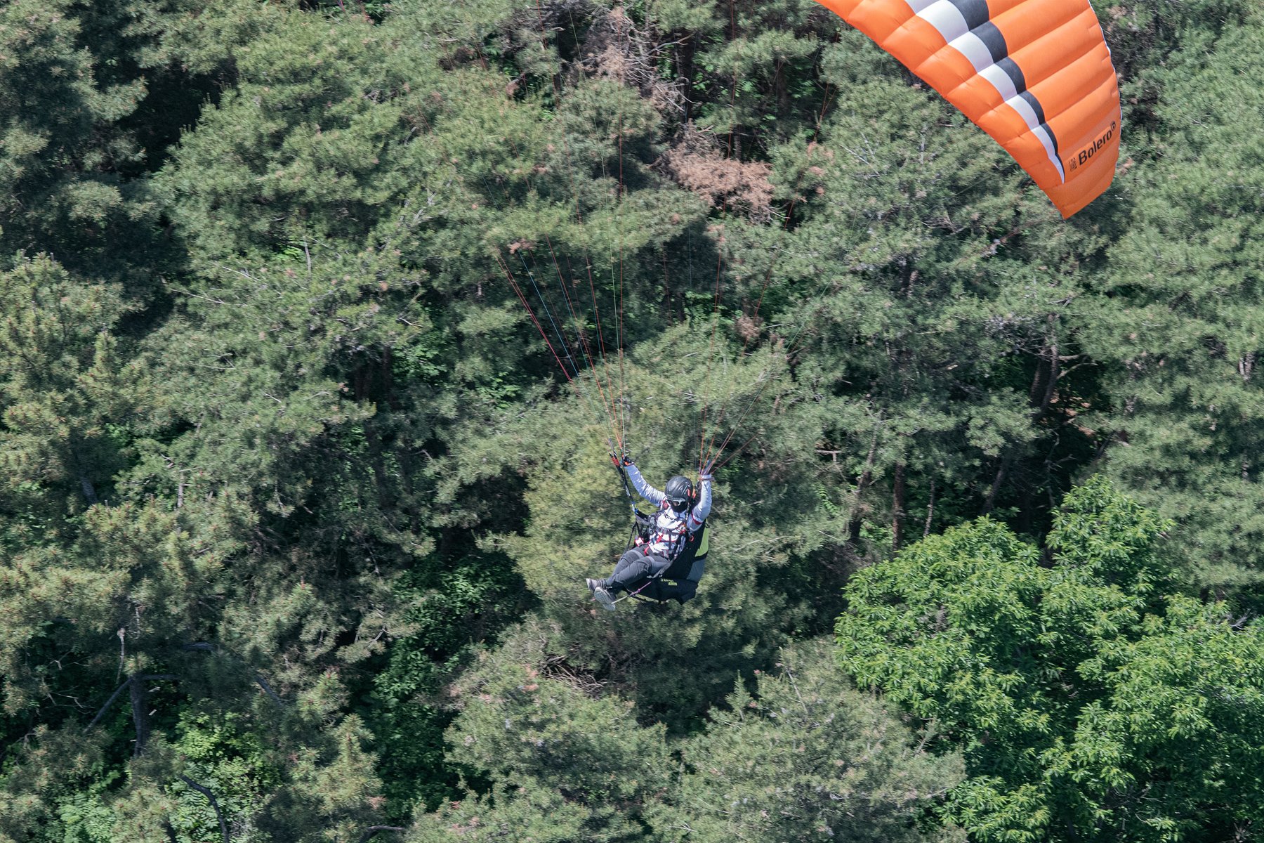DSC_5680-1.jpg