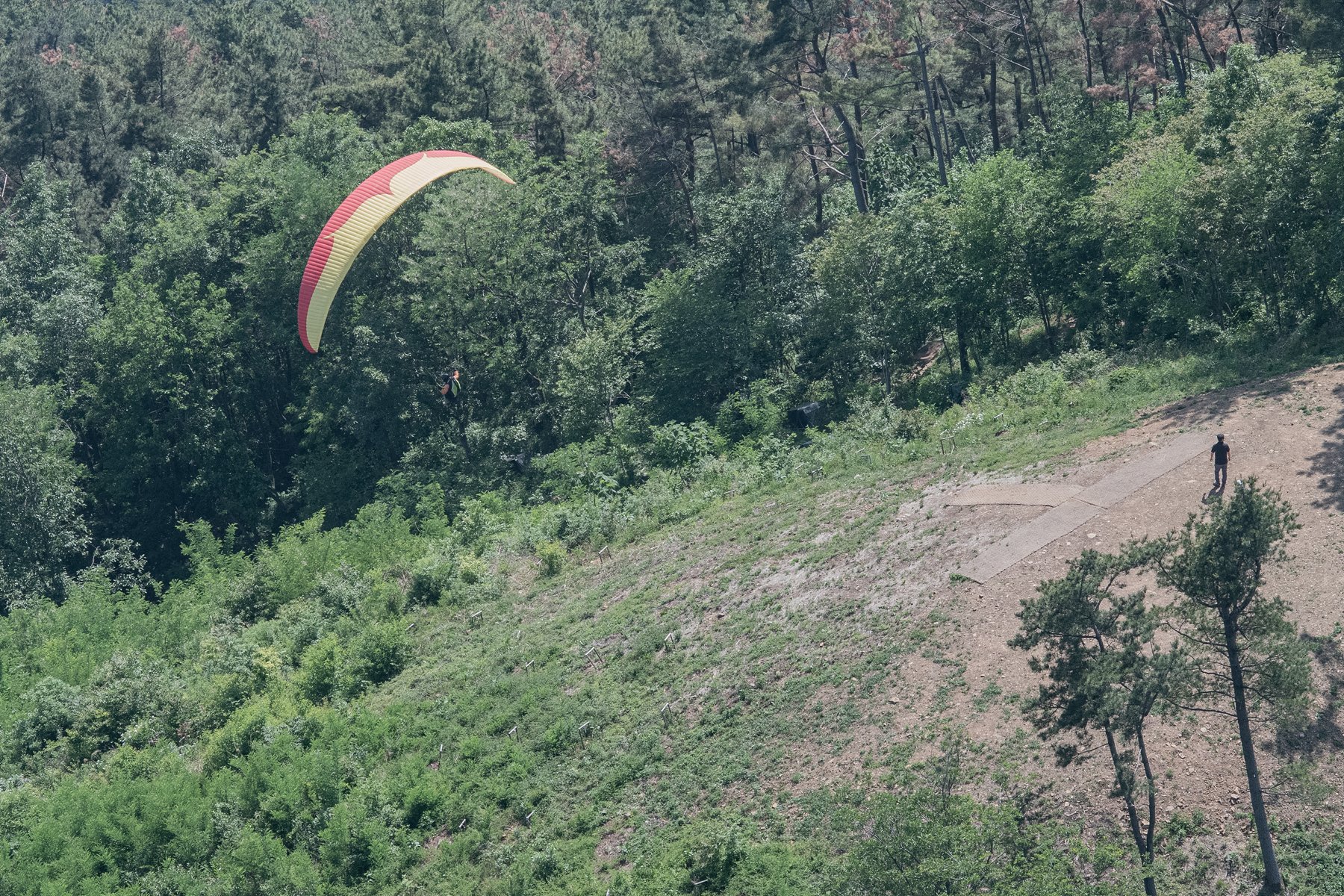 DSC_5740-1.jpg