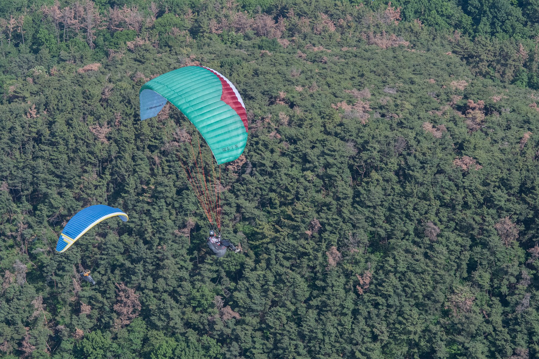 DSC_5843-1.jpg