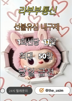 the_usim소액대출.jpg