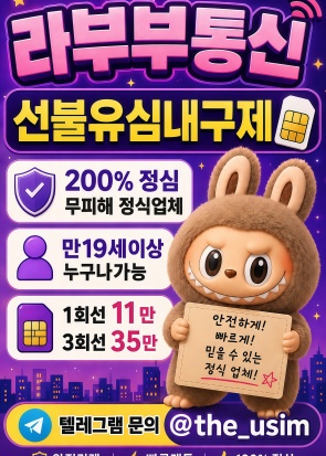 the_usim소액내구제.jpg