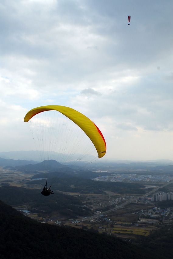 D11_6558.jpg