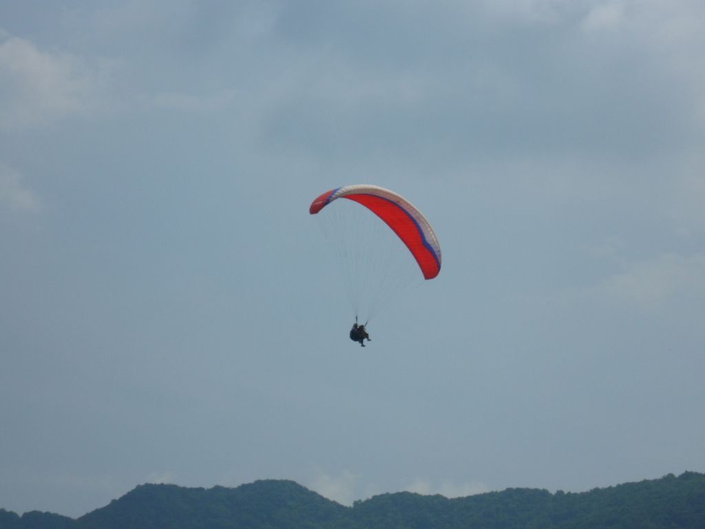 SAM_0779.JPG
