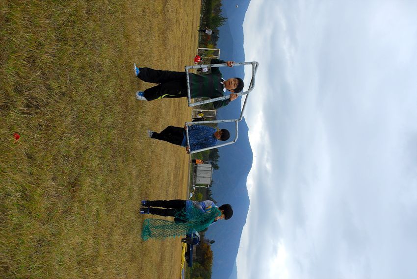 D11_7104.jpg