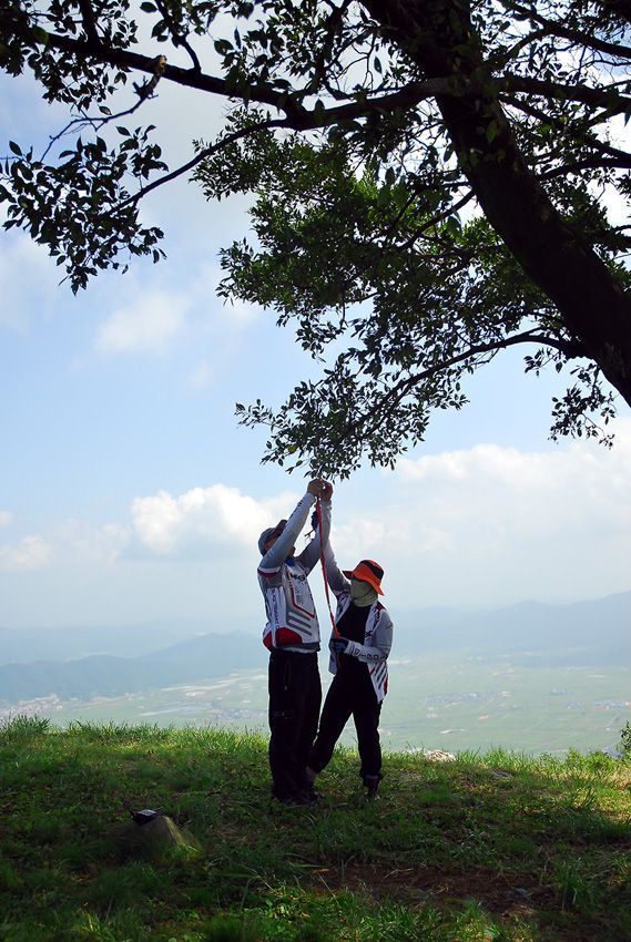 D11_5780.jpg