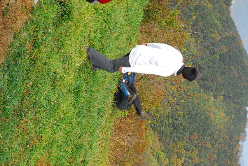 D11_7136.jpg