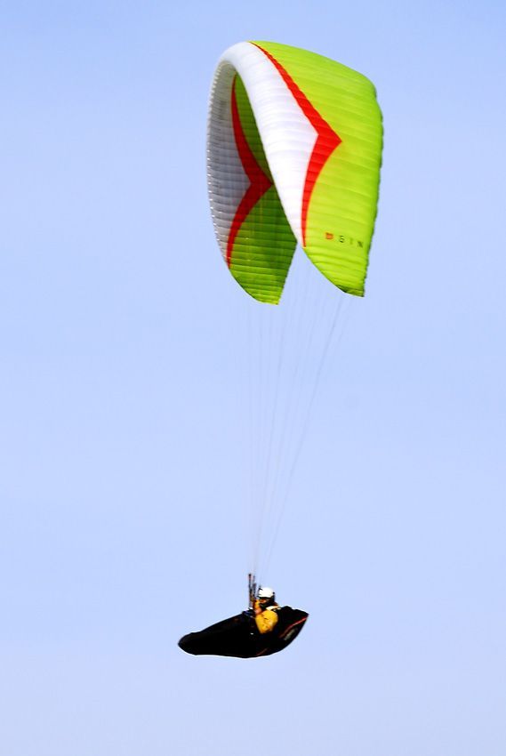 D11_8110.jpg