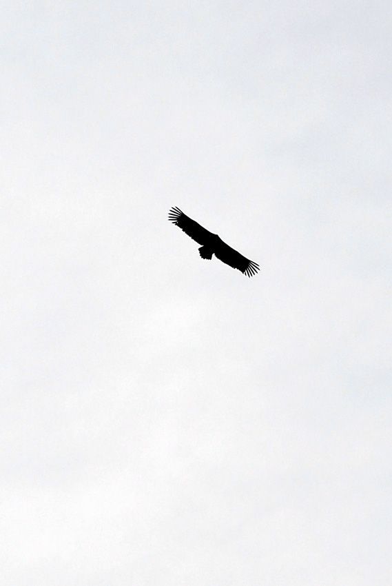 _D120620.jpg
