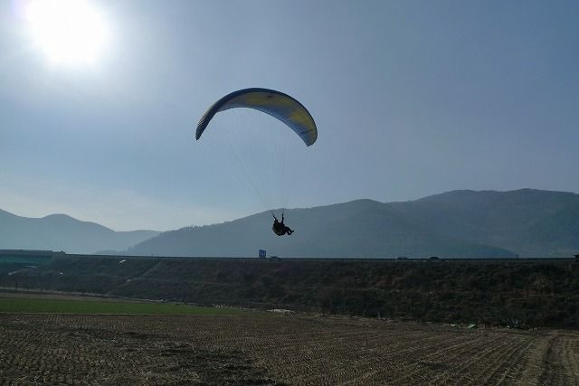 P1050815.jpg