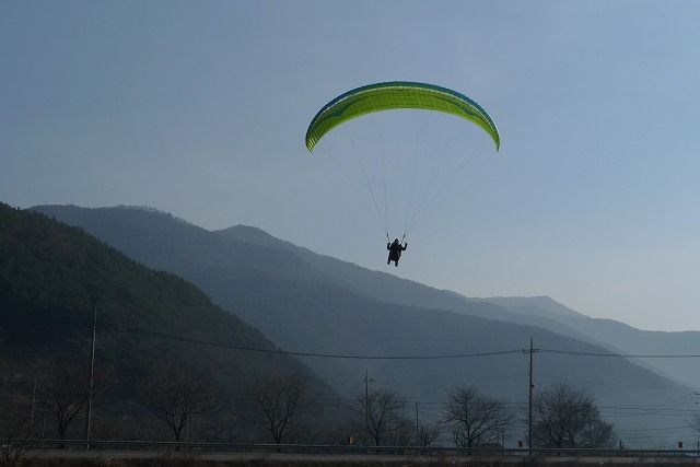 P1050807.jpg