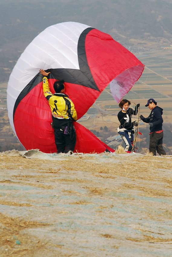 D11_1595.jpg
