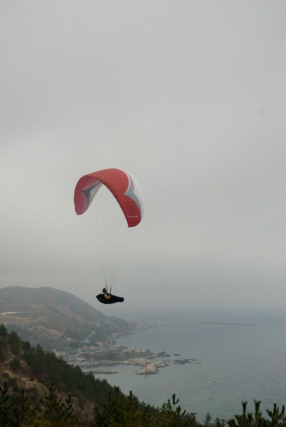 _D121745.jpg