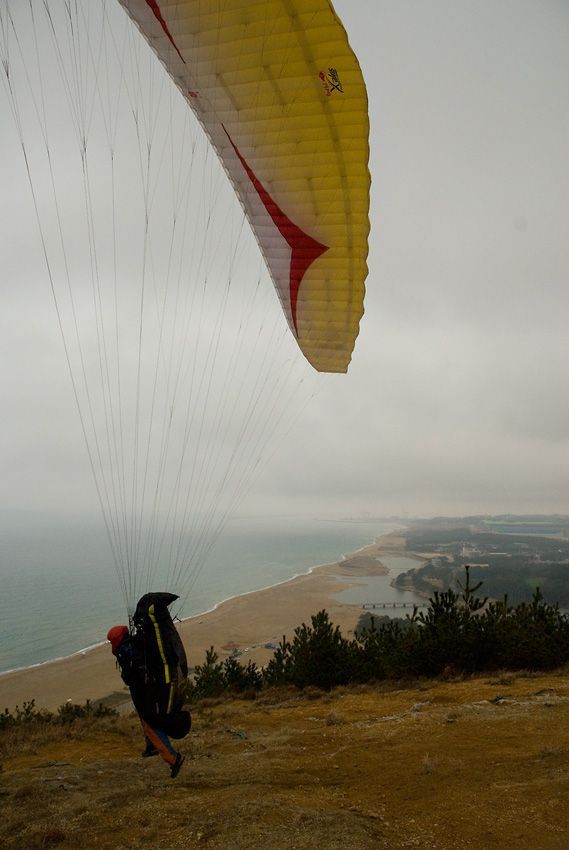 _D121752.jpg