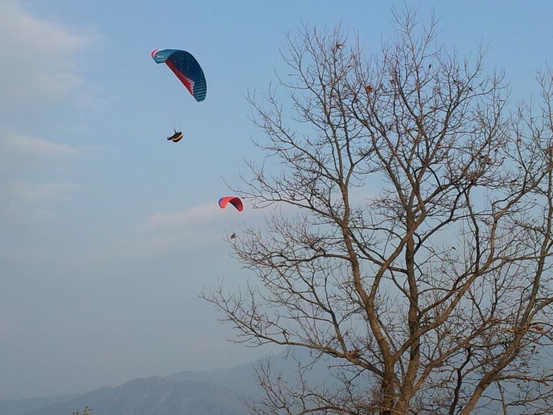 크기변환_2011-11-12 15.52.15.jpg