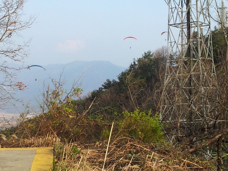 크기변환_2011-11-12 15.52.47.jpg