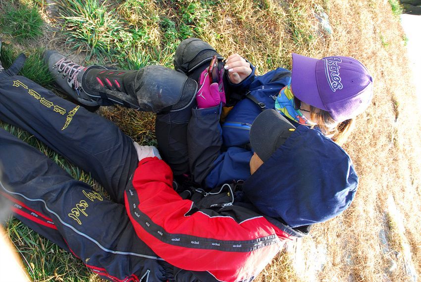 D11_7242.jpg