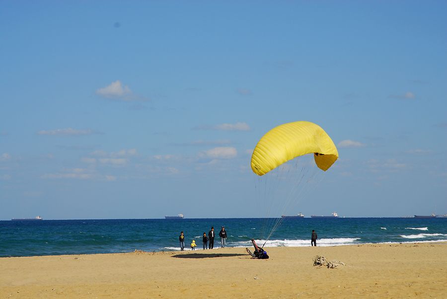D11_2012.jpg
