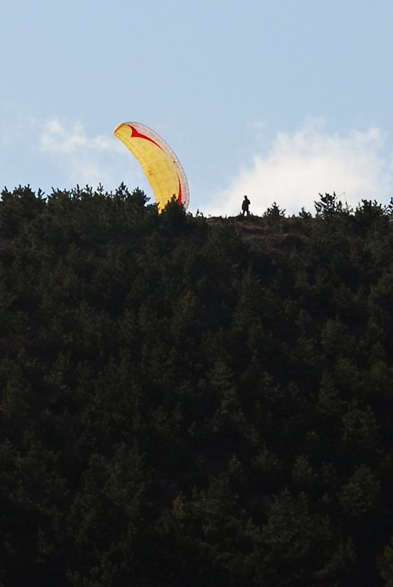 D11_2003.jpg